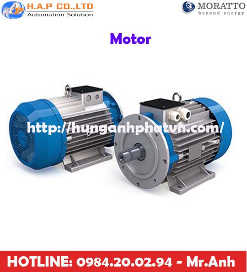 động cơ MORATTO tại việt nam, MORATTO motor