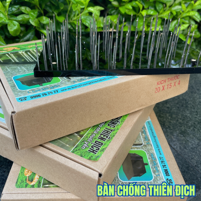 Bàn kim inox chống thiên địch, cú mèo, tắc kè, rắn