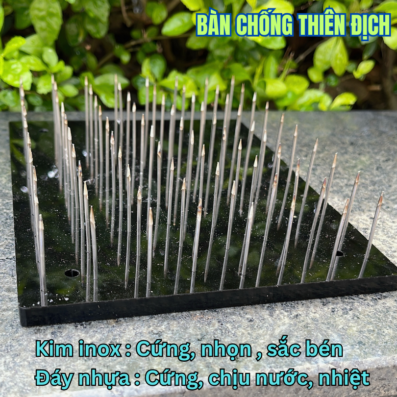 Bàn kim inox chống thiên địch, cú mèo, tắc kè, rắn
