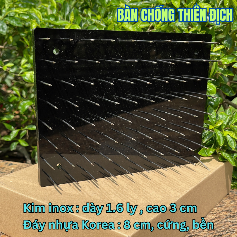 Bàn kim inox chống thiên địch, cú mèo, tắc kè, rắn