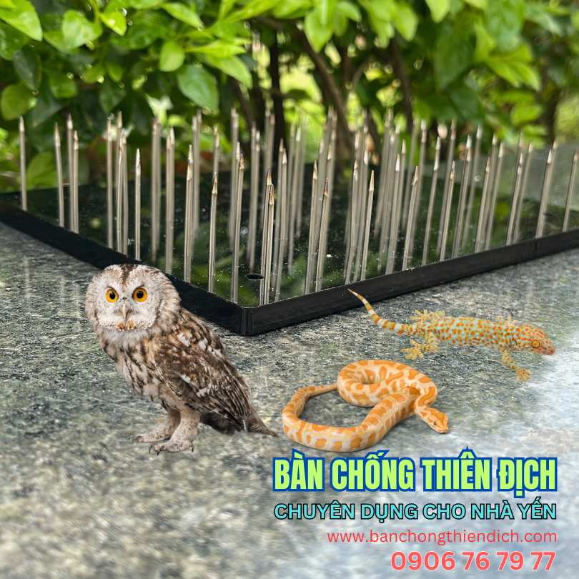 Bàn kim inox chống thiên địch, cú mèo, tắc kè, rắn