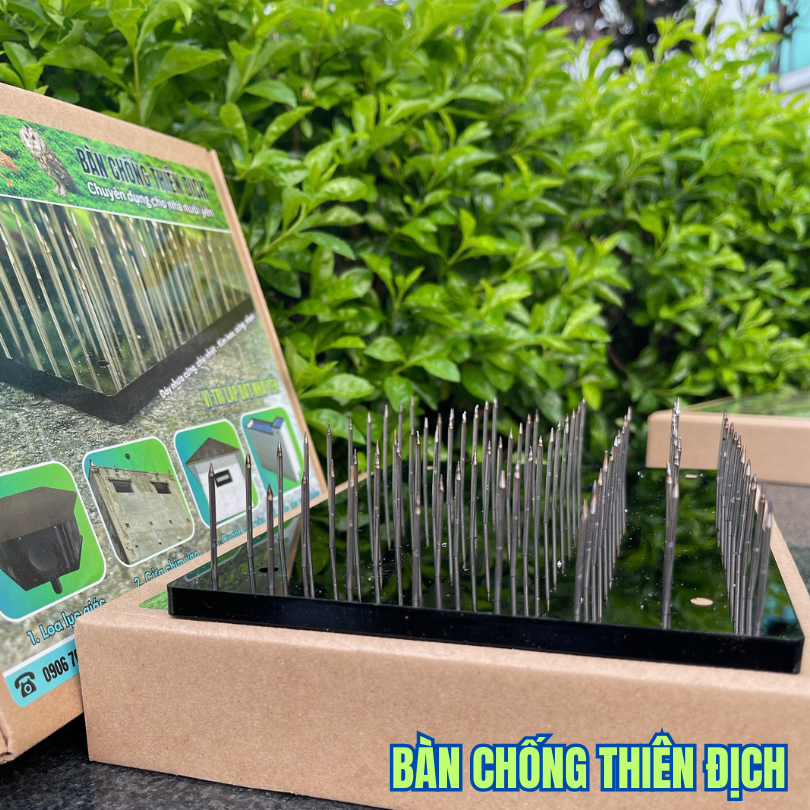 Bàn kim inox chống thiên địch, cú mèo, tắc kè, rắn