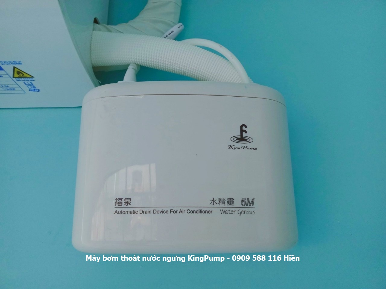 Bơm thoát nước Kingpump water genius 6m giá rẻ - 0909588116