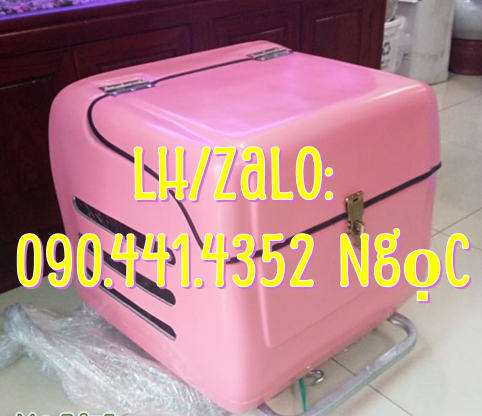Thùng chở hàng theo yêu cầu, kích thước thùng ship hàng sau xe máy