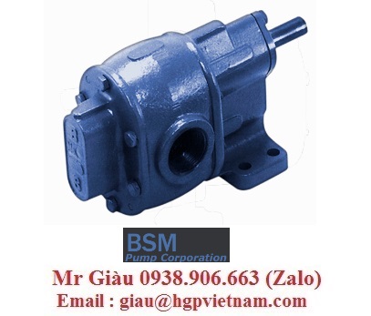 BSM pump viet nam 1