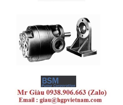 Bơm BSM Việt Nam