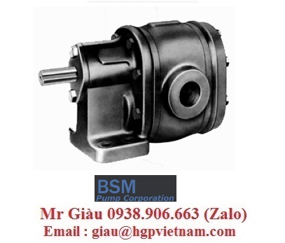 Bơm BSM 1