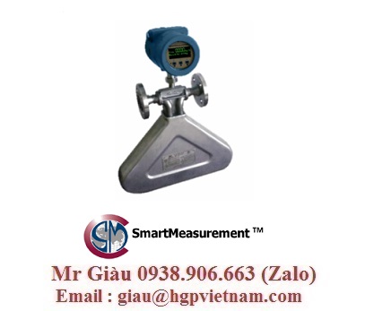 Smart Measurement Việt Nam 1