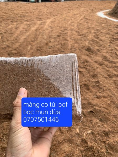 bán màng co túi pof bọc mụn dừa siêu siêu đẹp