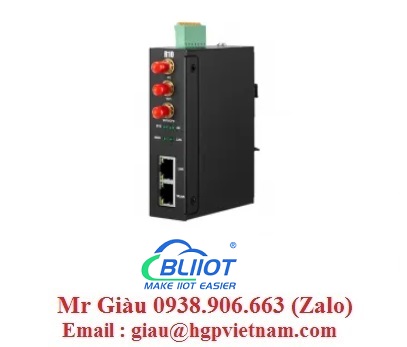 Bliiot Việt Nam