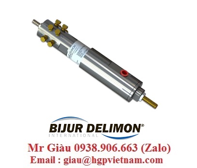 Bơm mỡ Bijur Delimon Việt Nam Vn