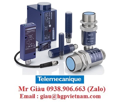 Đại lý Telemecanique Việt Nam