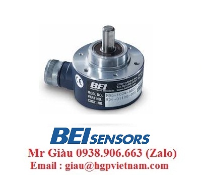 IFM Việt Nam     1