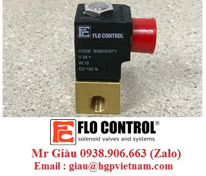 Van Flo Control Việt Nam 1
