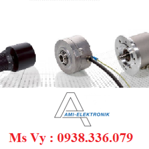 Nhà cung cấp Ami Elektronik Việt Nam 3.