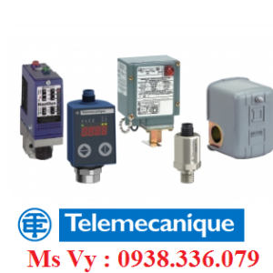 Nhà phân phối Telemecanique Việt Nam 4..