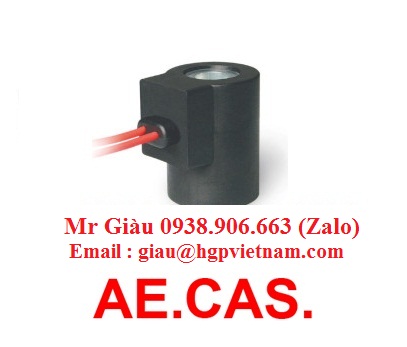 Cuộn coil AE.CAS.