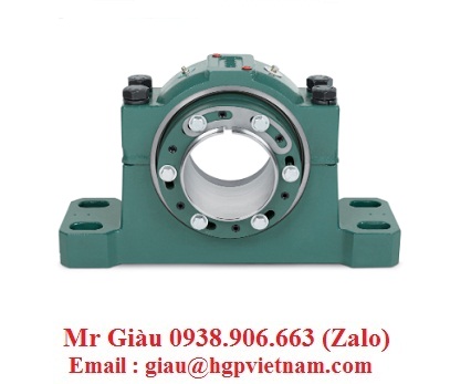 Vòng bi Dodge Việt Nam 1