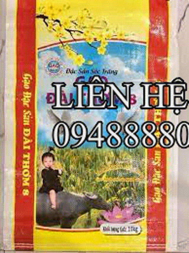 bao đựng gạo 5kg 10kg 20kg 50kg các loại