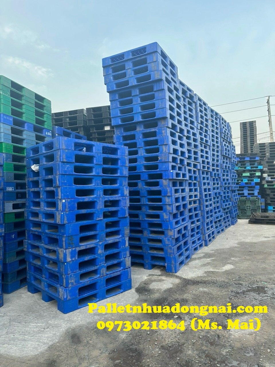 Pallet nhựa long an, liên hệ 0973021864 (24/7)