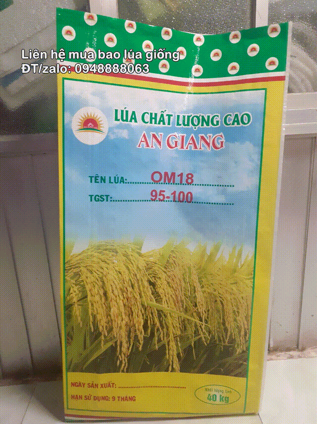 Bao lúa giống chất lượng giá rẽ cần bán