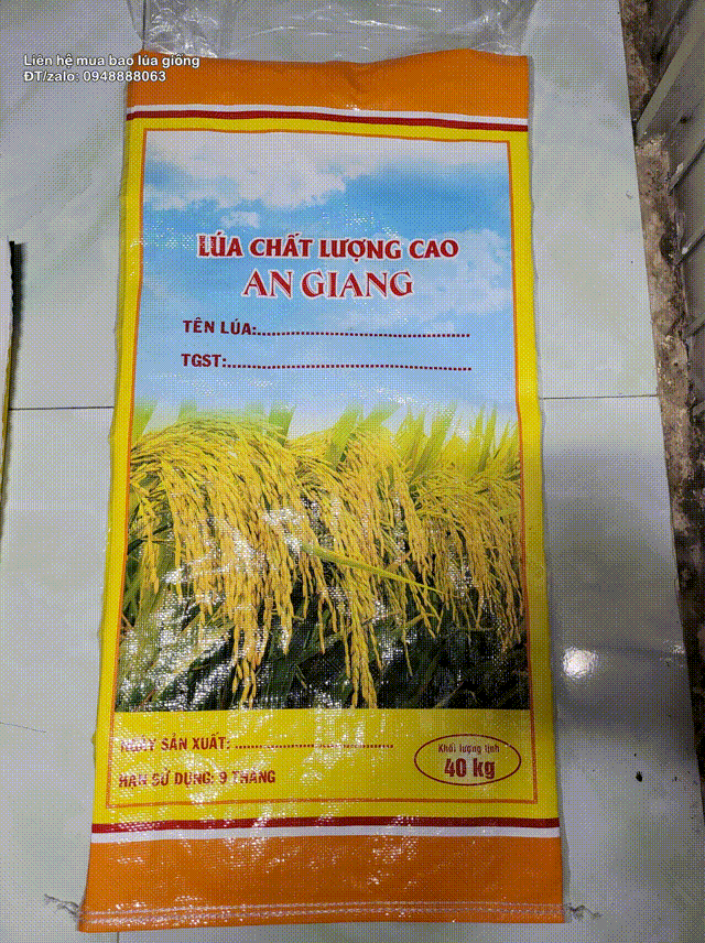 Bao lúa giống chất lượng giá rẽ cần bán