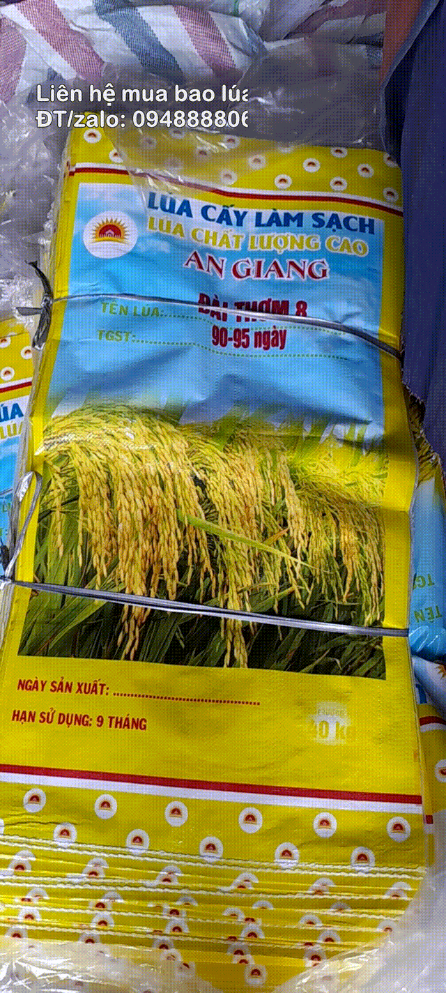 Bao lúa giống chất lượng giá rẽ cần bán