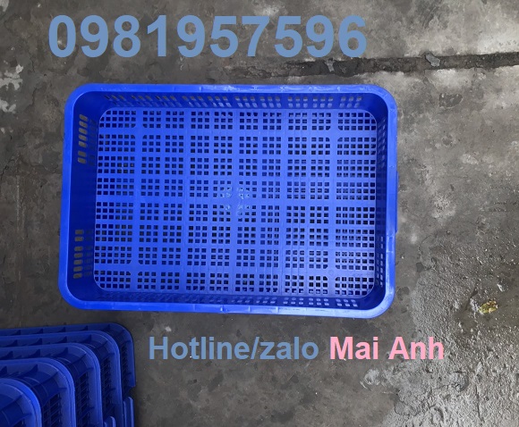 Sọt nhựa đựng hàng trưng bày tại các siêu thị, sóng nhựa hở cao 10 cm