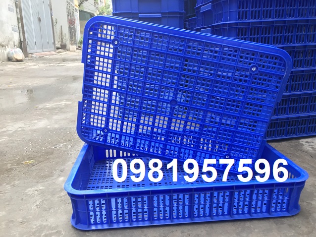 Sọt nhựa đựng hàng trưng bày tại các siêu thị, sóng nhựa hở cao 10 cm