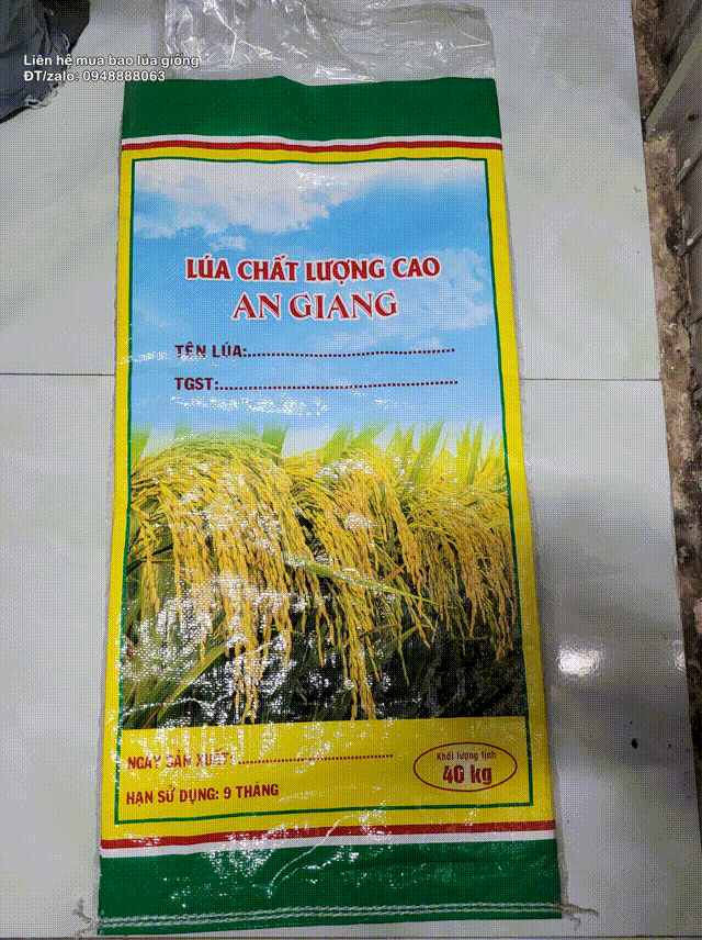 bao lúa giống 40kg an giang hàng có sẳn