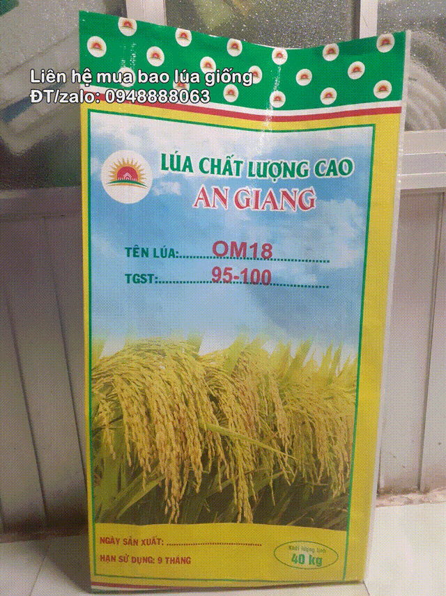 bao lúa giống 40kg an giang hàng có sẳn