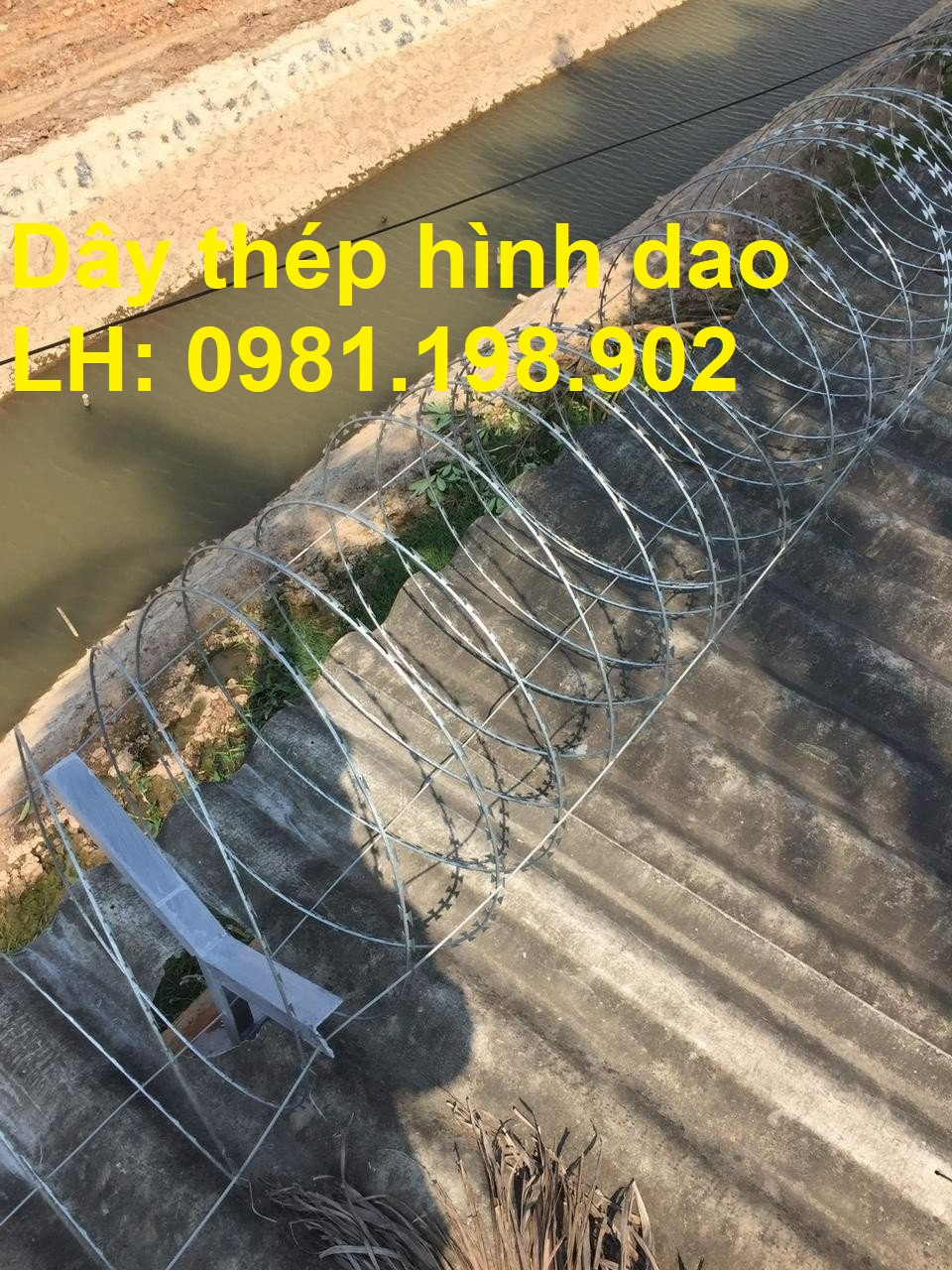 Dây thép gai hình dao đường kính 60, 80cm, hàng rào dây thép gai dao