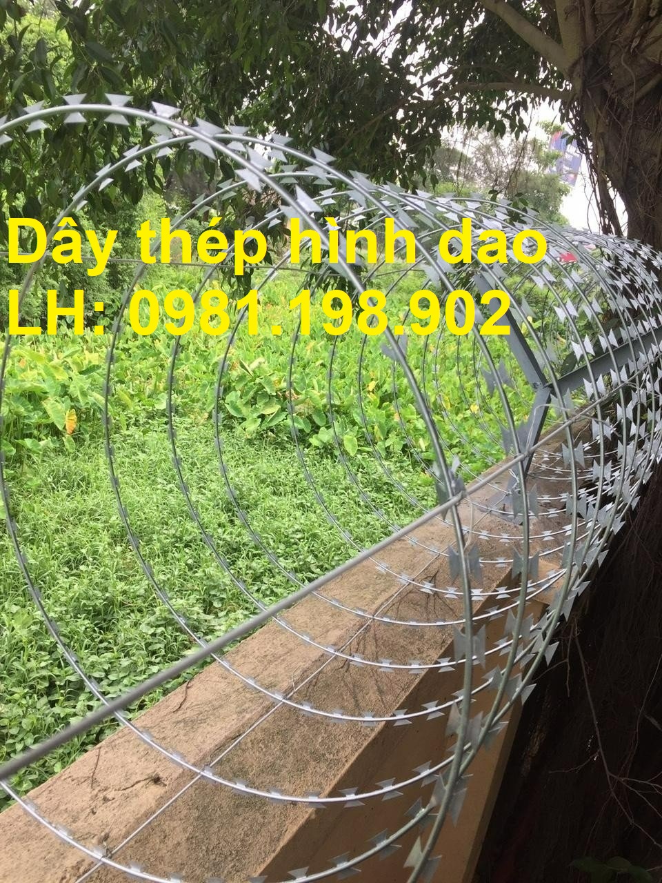 Dây thép gai hình dao đường kính 60, 80cm, hàng rào dây thép gai dao