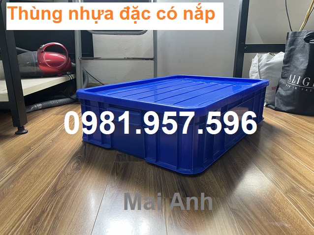 Thùng nhựa đặc có nắp kích thước 61x42x15 cm