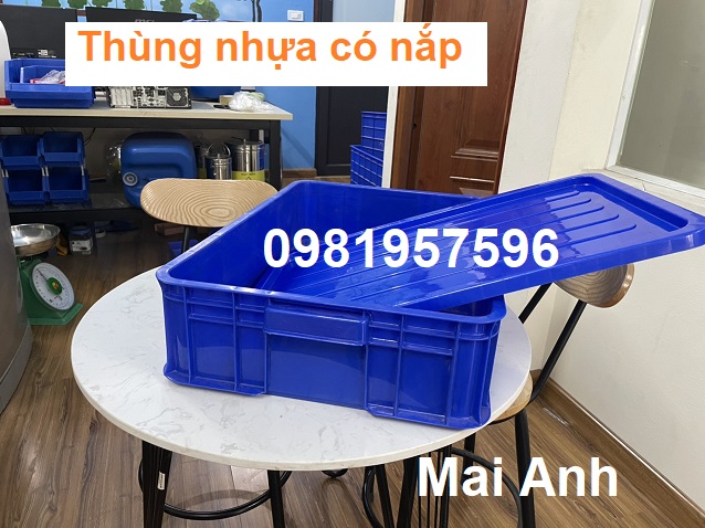 Thùng nhựa đặc có nắp kích thước 61x42x15 cm