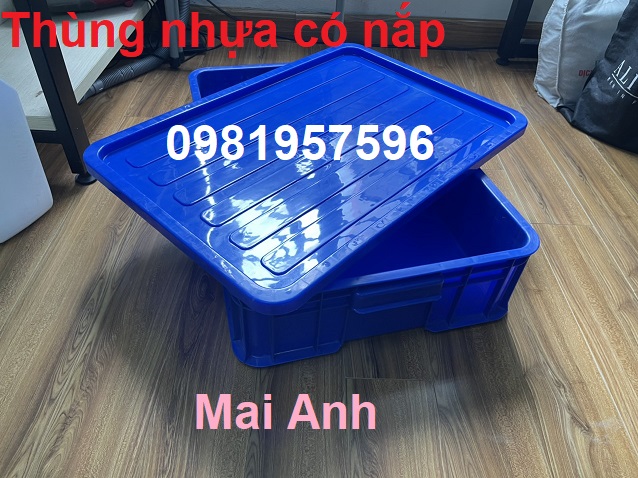 Thùng nhựa đặc có nắp kích thước 61x42x15 cm