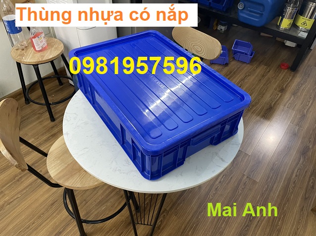 Thùng nhựa đặc có nắp kích thước 61x42x15 cm