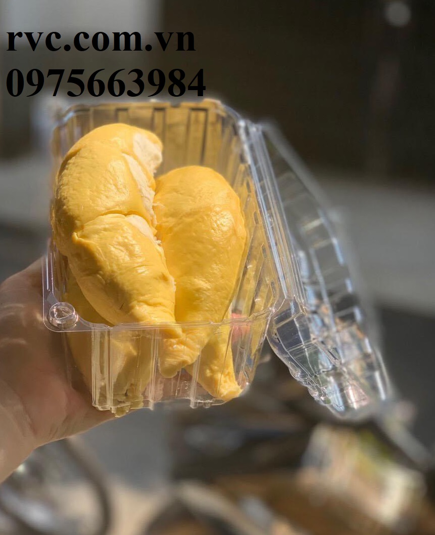 Sỉ hộp nhựa trái cây 1kg P1000B tại Thủ Đức