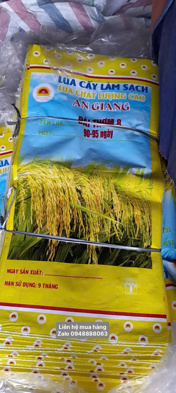 Bao lúa giống 40kg có lồng sẳn ni lông chất lượng
