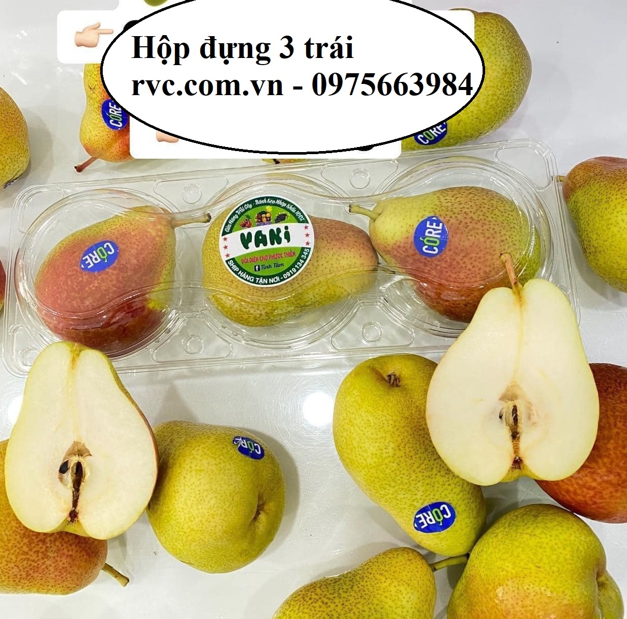 Hộp nhựa đựng 3 trái táo, cam, lê chất lượng, giá tốt tại Sài Gòn