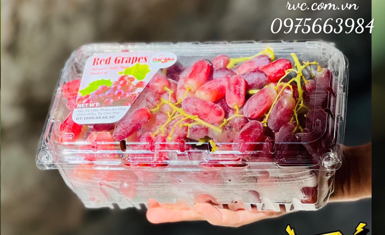 Hộp nhựa trái cây 1kg P1000A chuyên cung cấp vào siêu thị