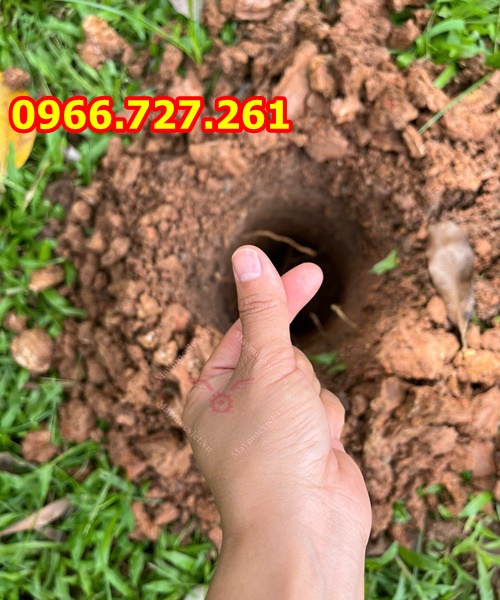 máy khoan đất trồng cây đẩy tay động cơ 2 thì