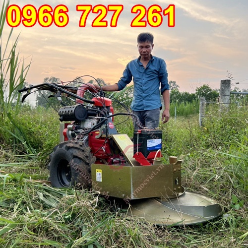 Máy cắt mâm xoay , cắt cỏ voi, thân ngô đẩy tay chạy dầu BM91