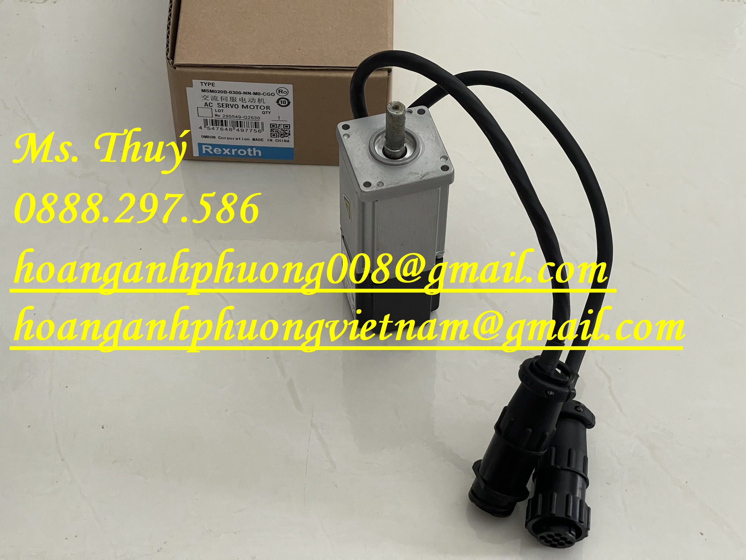 Động cơ servo MSM020B-0300-NN-M0-CG0 - Rexroth chính hãng