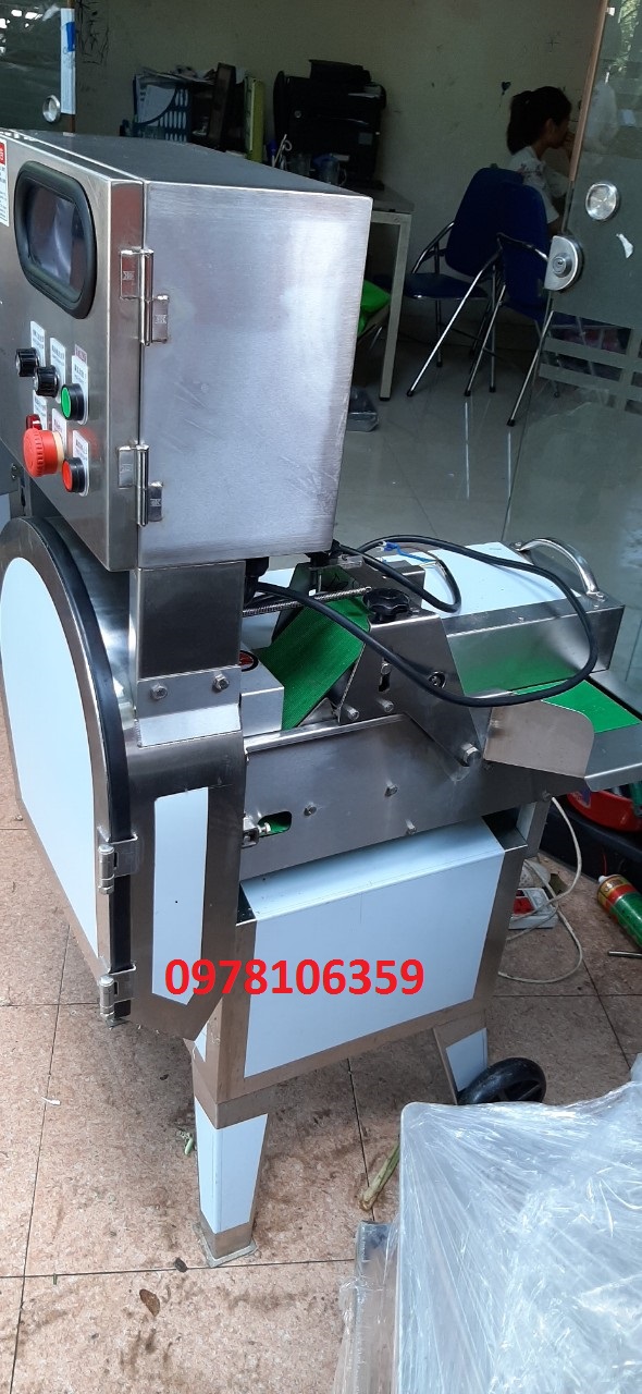 Máy thái lát sả cây, máy thái lát ớt, máy thái khúc rau dạng băng tải,