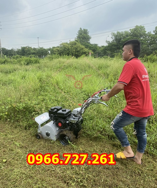 máy cắt cỏ trục băm, quật cỏ chạy xăng động cơ 7hp