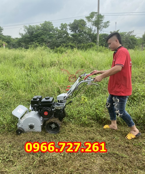 máy cắt cỏ trục băm, quật cỏ chạy xăng động cơ 7hp