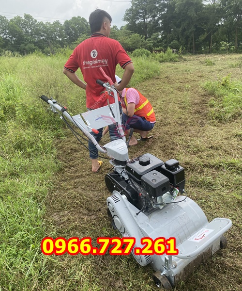 máy cắt cỏ trục băm, quật cỏ chạy xăng động cơ 7hp