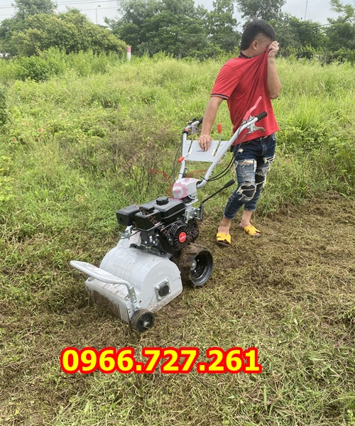 máy cắt cỏ trục băm, quật cỏ chạy xăng động cơ 7hp