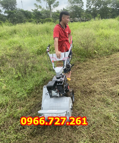 máy cắt cỏ trục băm, quật cỏ chạy xăng động cơ 7hp